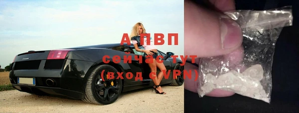 МДПВ Нефтегорск