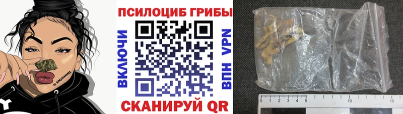 это какой сайт  МЕГА онион  Александровск-Сахалинский  Галлюциногенные грибы прущие грибы 